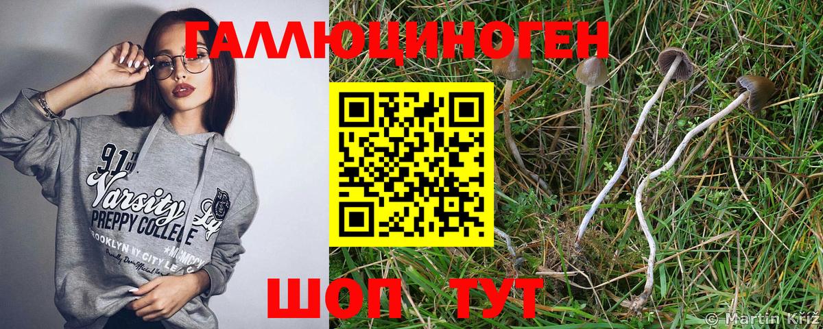 Галлюциногенные грибы мухоморы Кунгур